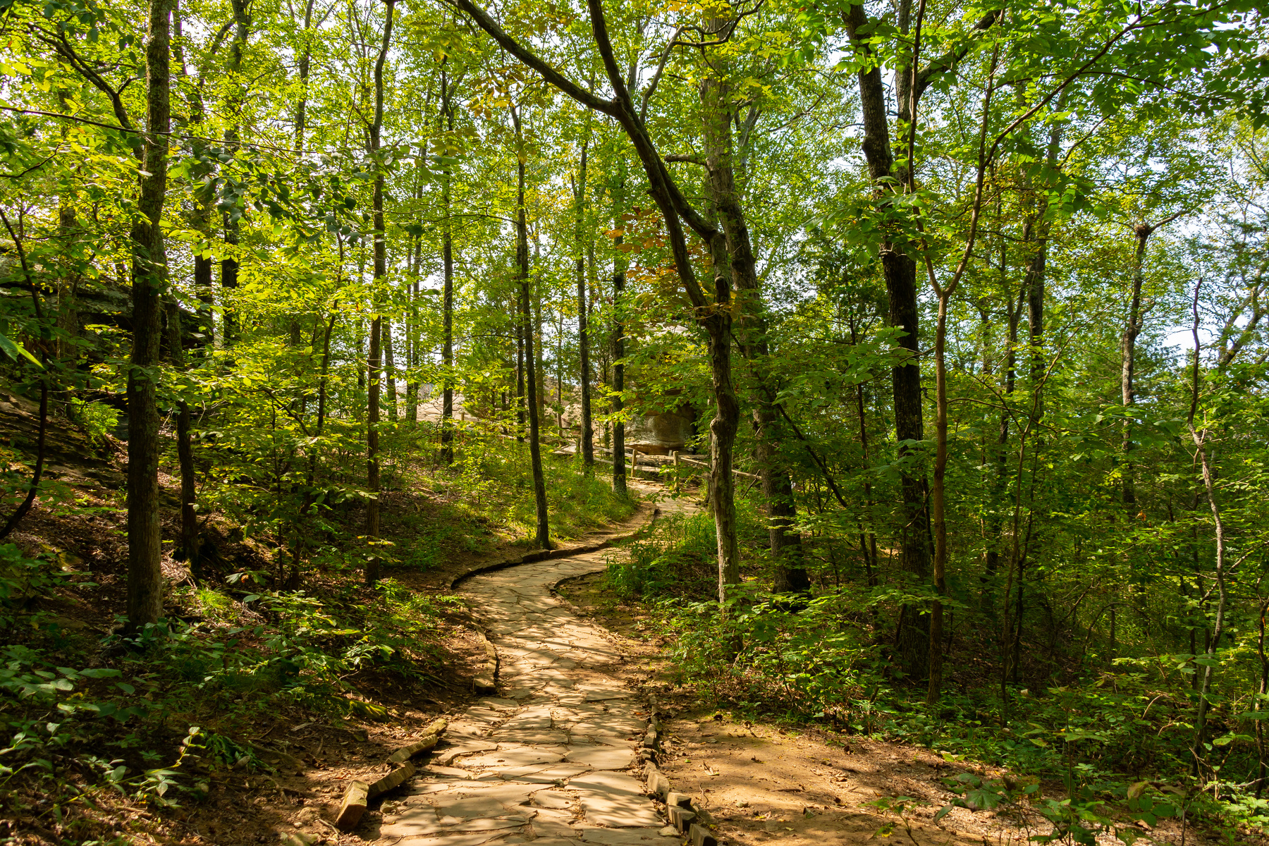 Hiking Trail